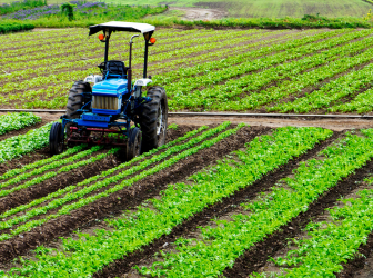 Agricultural Land