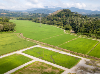 Farm Lands